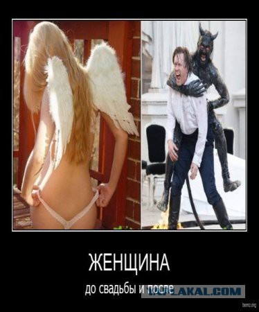 Женская логика. Мифы и реальность.