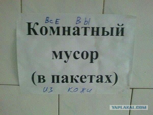 Подборка картинок