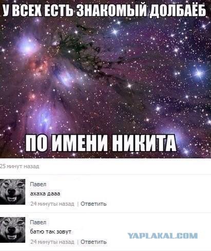 Бедные, наивные "ЖУКИ"