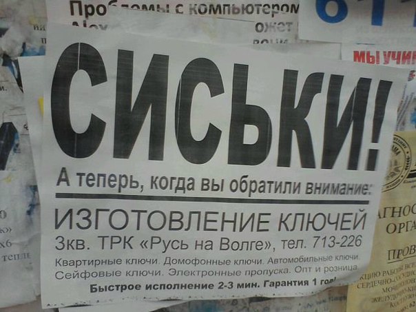 Ужасы и приколы из соцсетей 18+