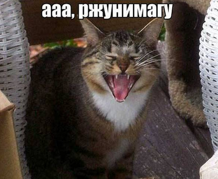 Ай-нэ-нэ + ТП = 2 в 1