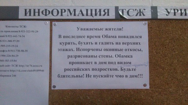 Ужасы и приколы из соцсетей 18+