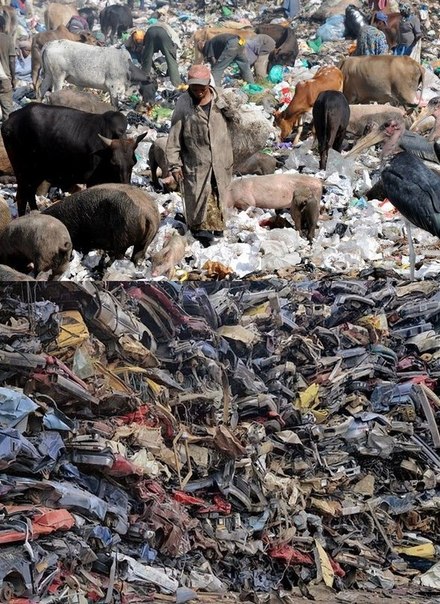 Интересные и веселые картинки