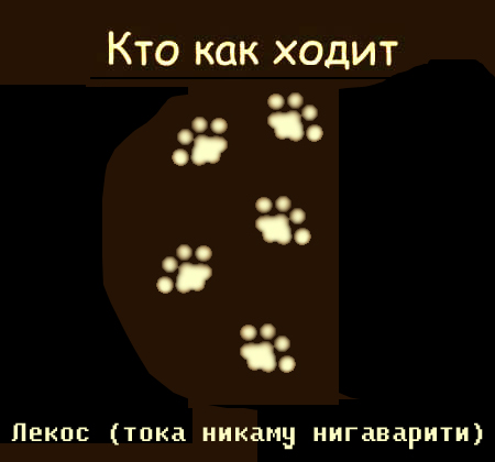 Фотожаба: Кто как ходит