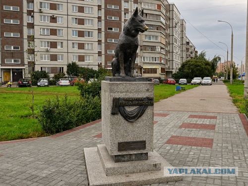 Герой города. 12 лет ждет хозяина... дольше чем Хатико.