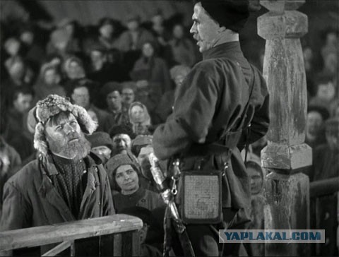 Я и бал (такие законы)