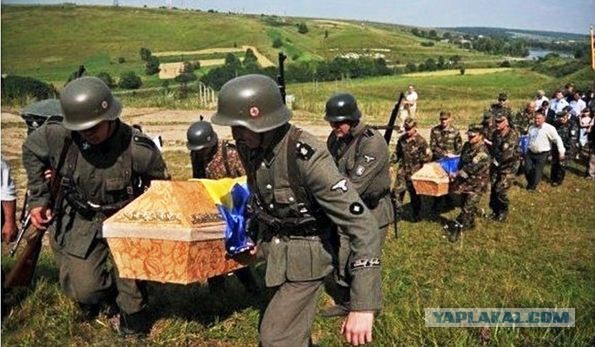 Под Киевом перезахоронили 60 солдат