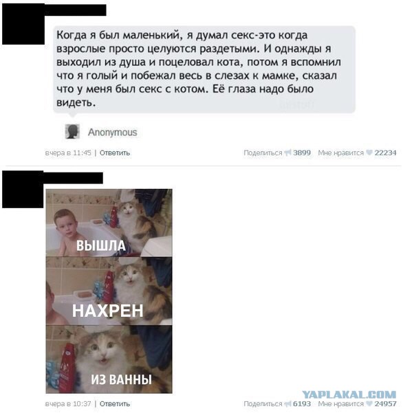 Ответы на идиотские вопросы и проблемы