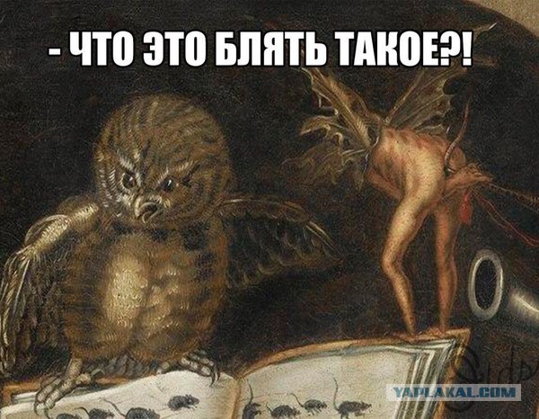 Деградировать подано, дамы и господа!