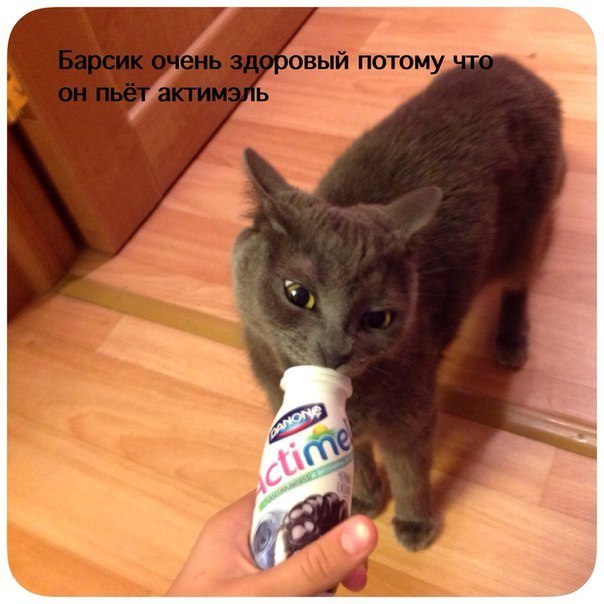 100 картинок для поднятия настроения!