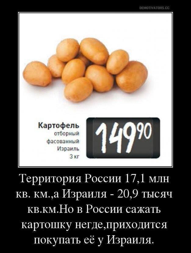 Как Россия уверенно побеждает санкции с точностью до наоборот