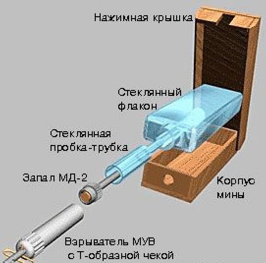 Интересные и редкие фотографии