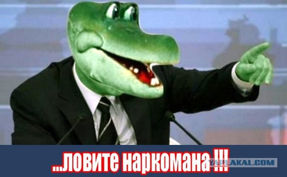 Полицейские начали делать надписи «Путин» на зданиях и заборах