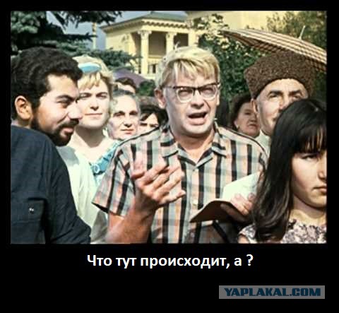 Итоги проверки пользователей