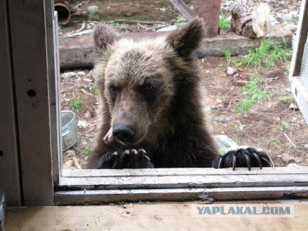 Я живу в Тынде