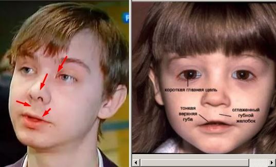 Киберстукачи. Кибердружина копирует мемы с ваших страниц в соцсетях и пишет заявления в полицию - взгляд изнутри