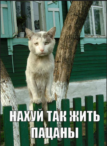 Как я жил на 1 000 рублей в неделю