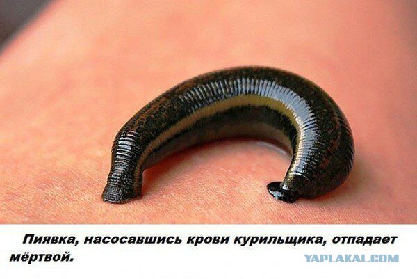 Спорим, вы не знали...