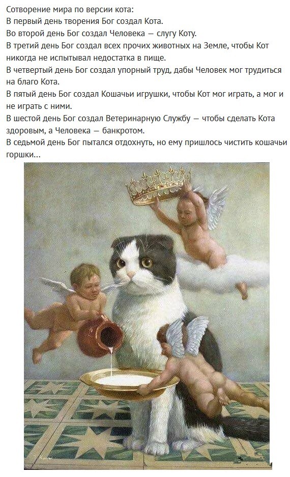 Немного картинок для настроения