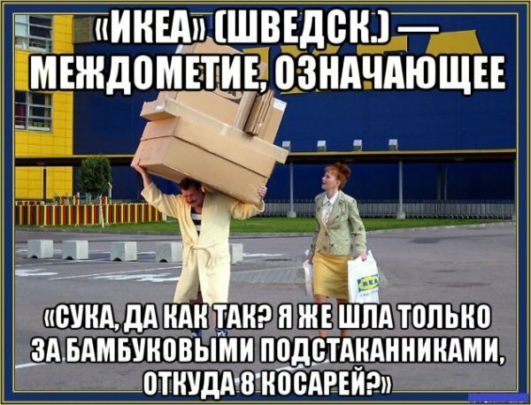 Прикольные комментарии и высказывания из Сети 10.08.19