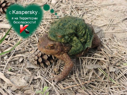 За фотожабу в Швейцарию