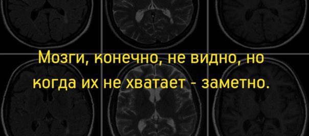 Как правильно вешать туалетную бумагу, к себе или от себя: патент 1891 года ставит точку в вечном споре