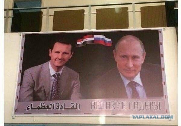 Картинки