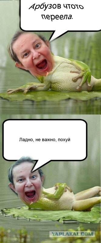 Фотожаба: Принцесса ФИОНА