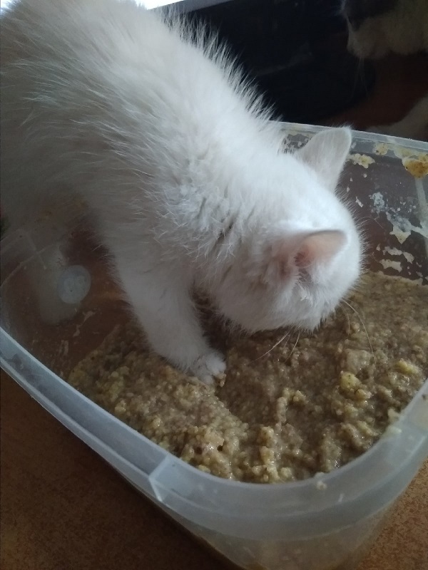 Неновогодний пост
