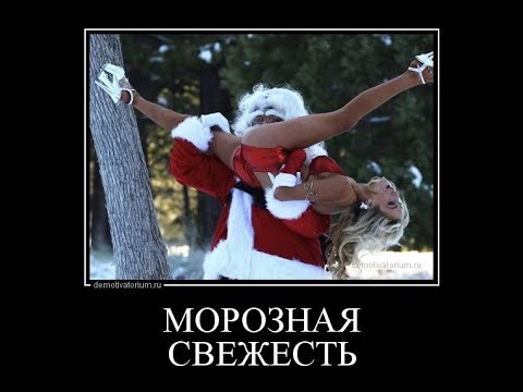 6 главных причин, почему женщинам не нравится борода