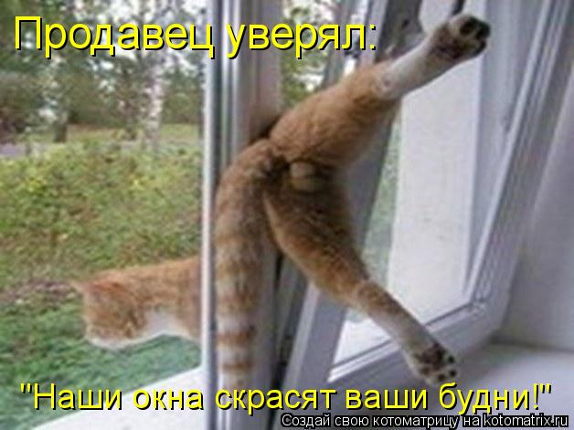 Кто сказал, что я толстый?! Это у меня мех
