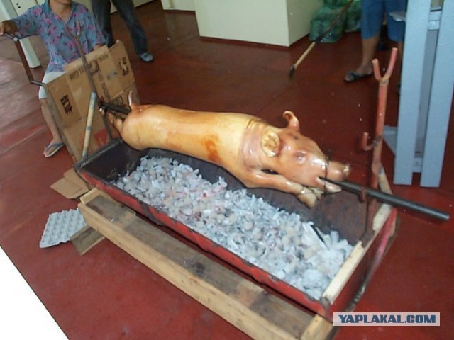 Мал клоп, да вонюч