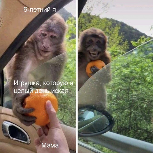 Юмор и прикольные картинки