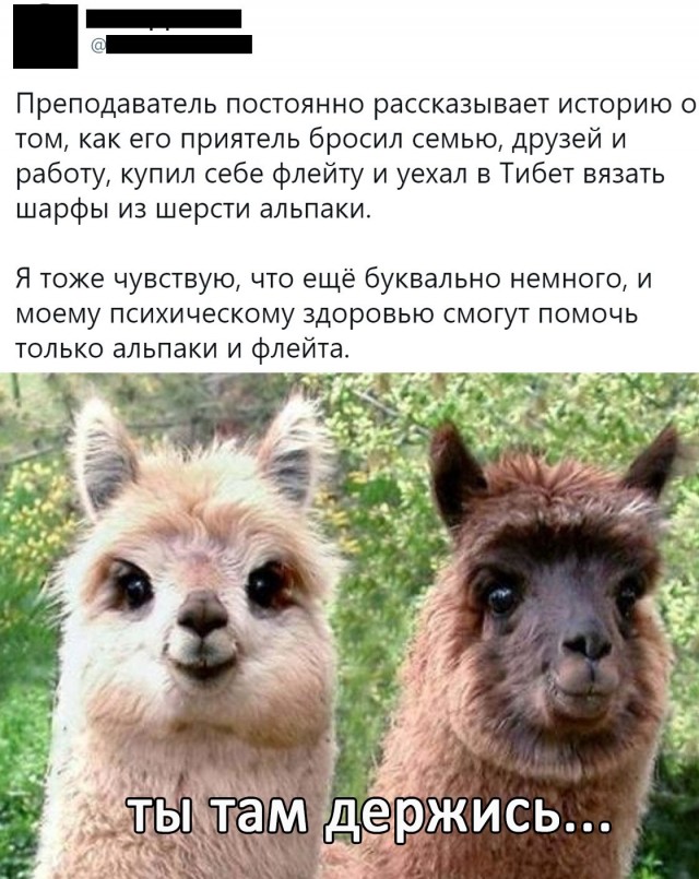 Баяны бабыЯны