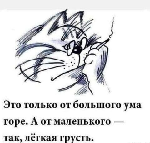 Ты видела его КТ?