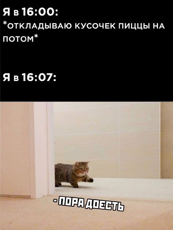 40 картинок разных 01.02.2022