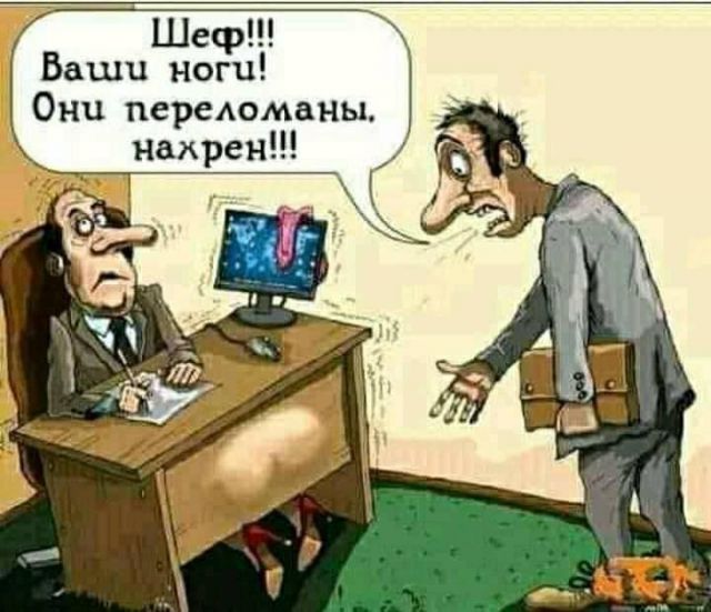 Подборка картинок всяческих 09.02.2022