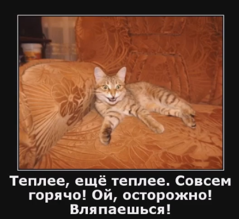Весёлый полтишок 28.02.22