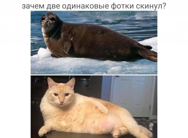 Картинки и мемы для настроения - 21