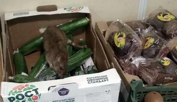 Чудо из под Пятерочки