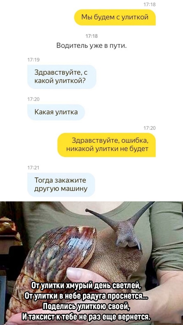 Так себе картинки 15.07.22