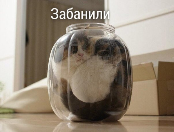 Так себе картинки 19.07.22
