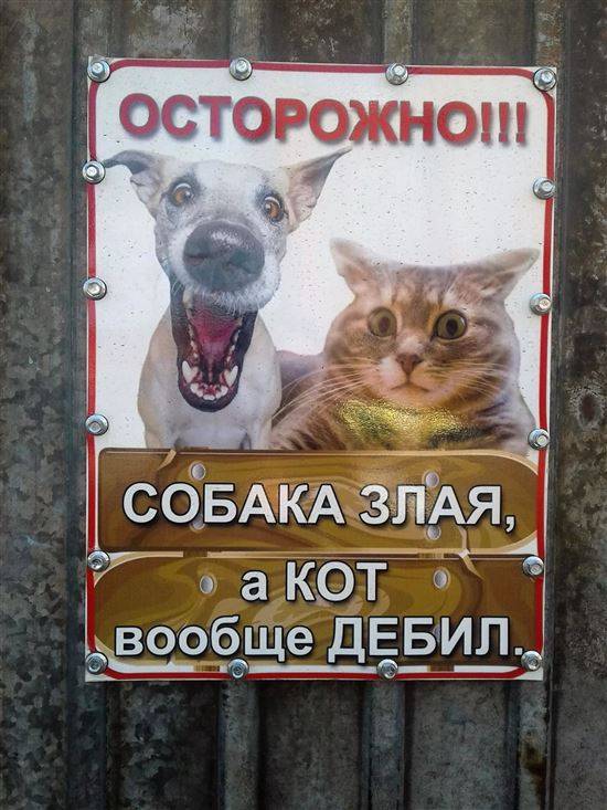 Забор с битым стеклом. Как вам такое решение?