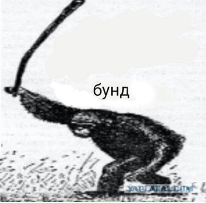 Обезьян взбунтовался