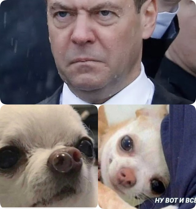 СБУ ищет потеряшек