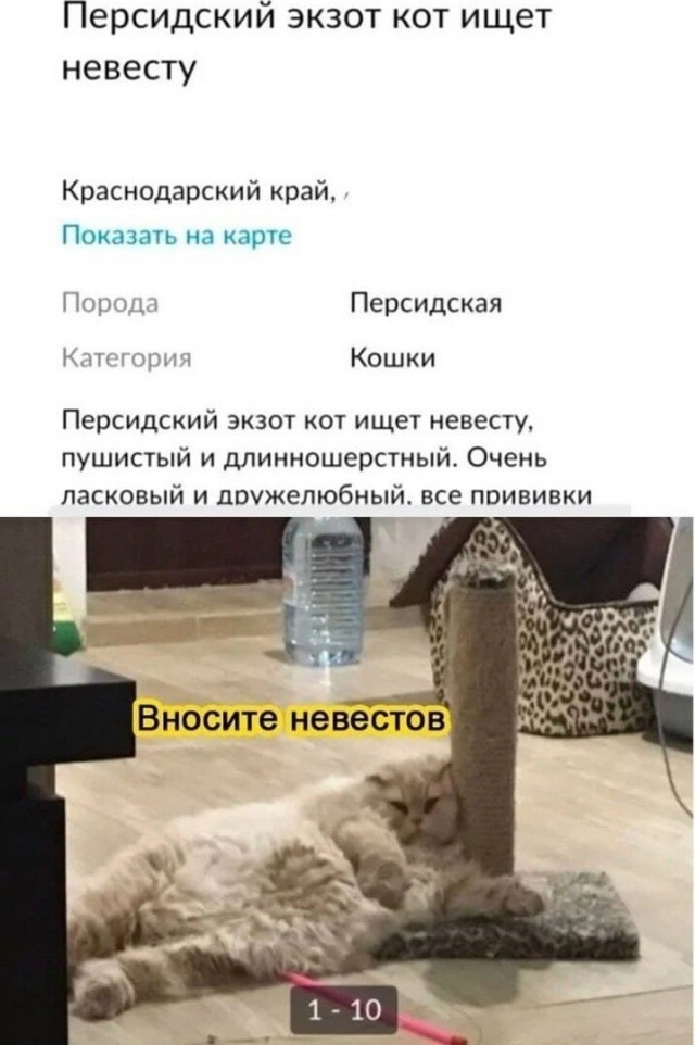 Почему стройняшки хотят парня с зп в миллион