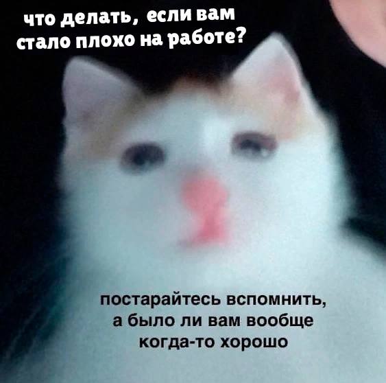 Немного мемчиков. Для взрослых. Часть 26