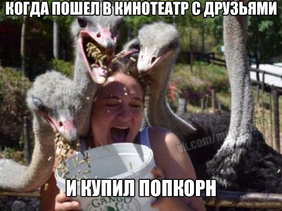 Аватар. Путь еды!