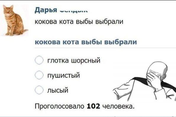 Когда наконец-то получил лицензию на ношение гладкошерстного оружия⁠⁠
