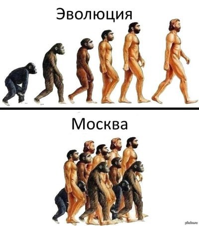 Народная меДИЧина 1012